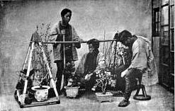 Gardeners Going To A Flower Fair With Dwarf Trees, Japan, 1890