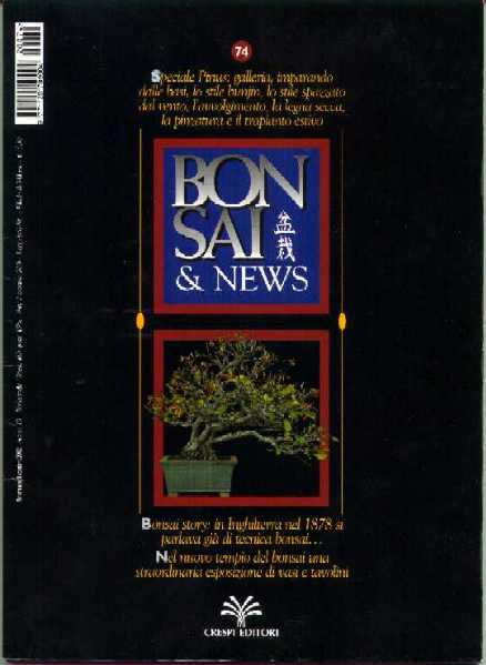 Bonsai & News, 2002