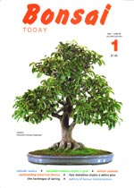 Bonsai Today, No. 1