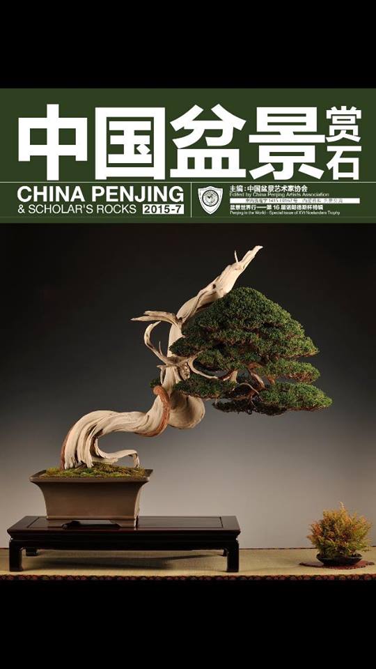 China Penjing & Scholar's Rocks 2015-7