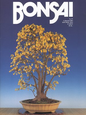 Bonsai