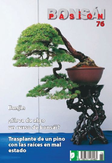 Bonsai Pasion, #76