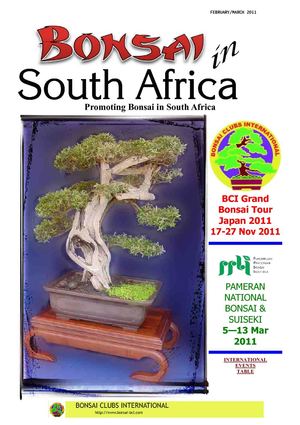 Bonsai in South Africa