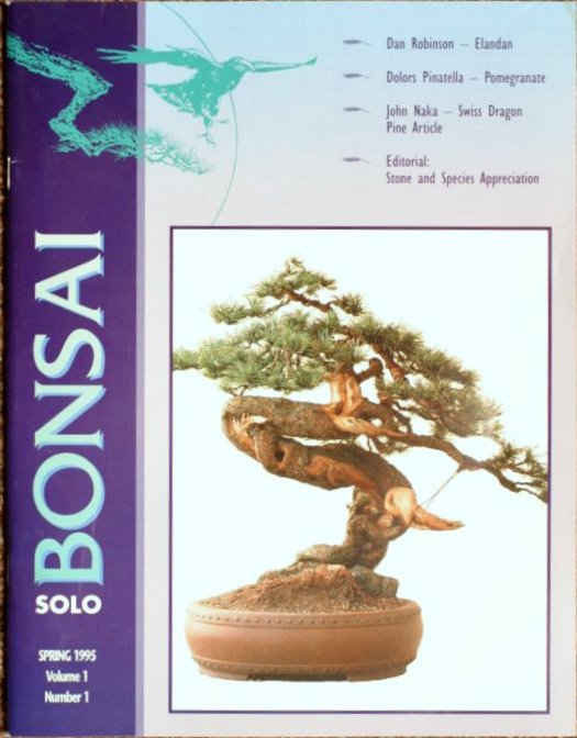 Bonsai Solo, No. 1