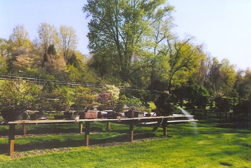 Jerry Stowell's Growing Benches, 05/1999