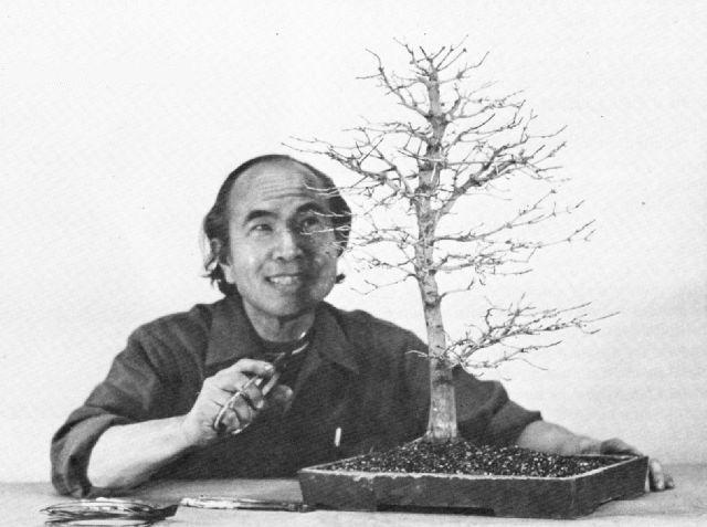 Khan Komai, ABS Bonsai Journal, Summer 1974, pg. 38