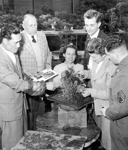 Alfred Koehn and Yoshimura, 1952, International Bonsai, 1998/No. 1, pg. 33