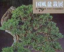 Kokufu No. 79 Album Cover, 2005