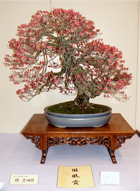 Kokufu Prize, 2002: Japanese flowering apricot