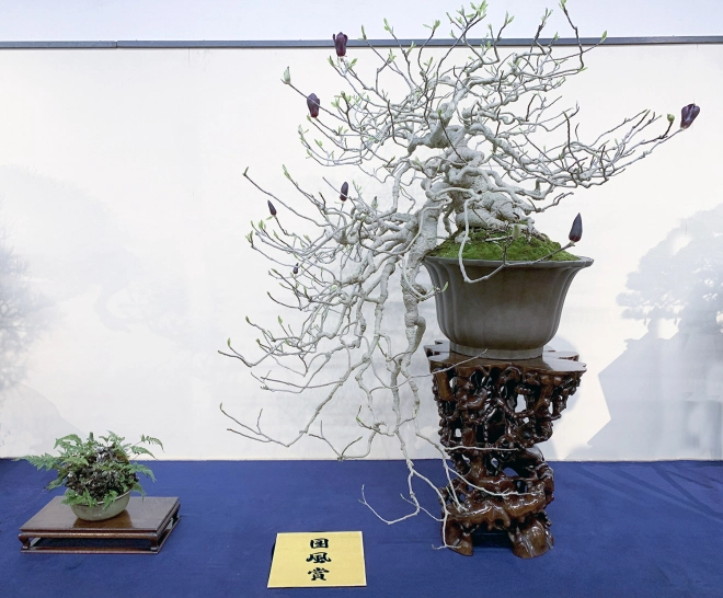 Magnolia award winner at the 93rd Kokufu ten, 2019, photo by Wm. N. Valavanis