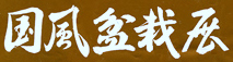 Kokufu ten calligraphy