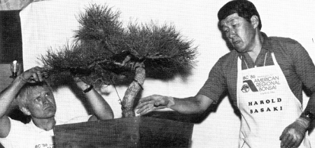 Harold Sasaki after demonstration, BCI Bonsai Magazine NovDec1986, pg. 20