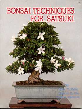 Bonsai Techniques for Satsuki