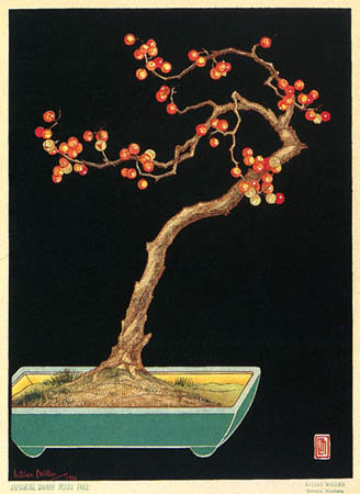 Japanese Dwarf Berry Tree