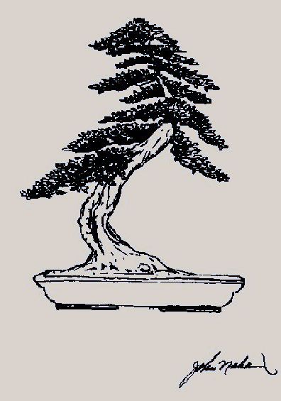 John Naka sketch of Leroy Fujii tree 1993 became Phoenix club's logo tree