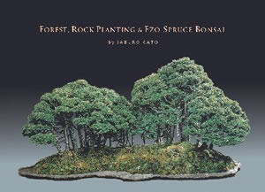 Forest, Rock Planting & Ezo Spruce Bonsai