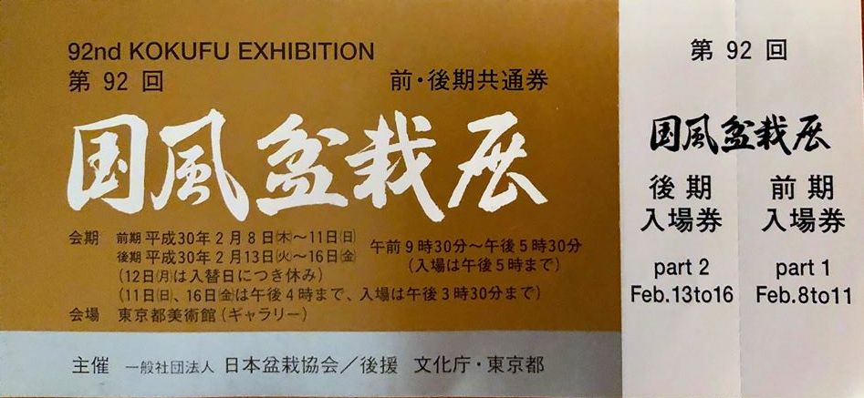 Kokufu ten No. 82 Admission Ticket, 2018